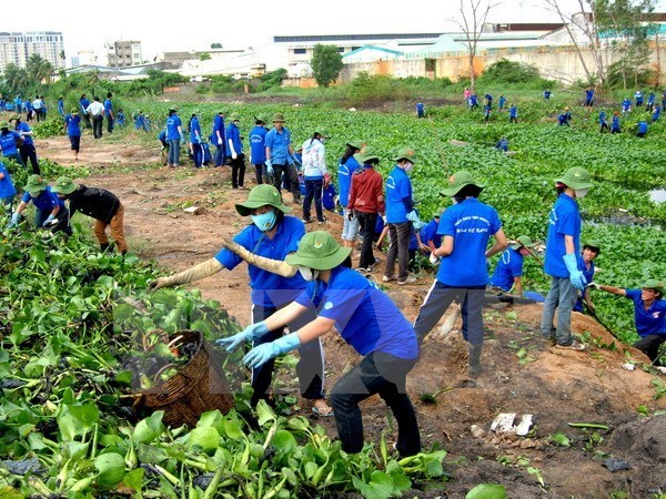 Various activities scheduled in response to World Environment Day |  Environment | Vietnam+ (VietnamPlus)